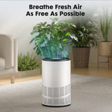Home Air Purifiers