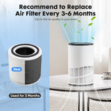 Home Air Purifiers