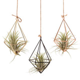 Iron Geometric Macrame Pot Pocket Wall Boho Courtyard Home Decor Gardening Green Plant Hanging Stand Air Plant Holder Home Decor