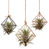 Iron Geometric Macrame Pot Pocket Wall Boho Courtyard Home Decor Gardening Green Plant Hanging Stand Air Plant Holder Home Decor
